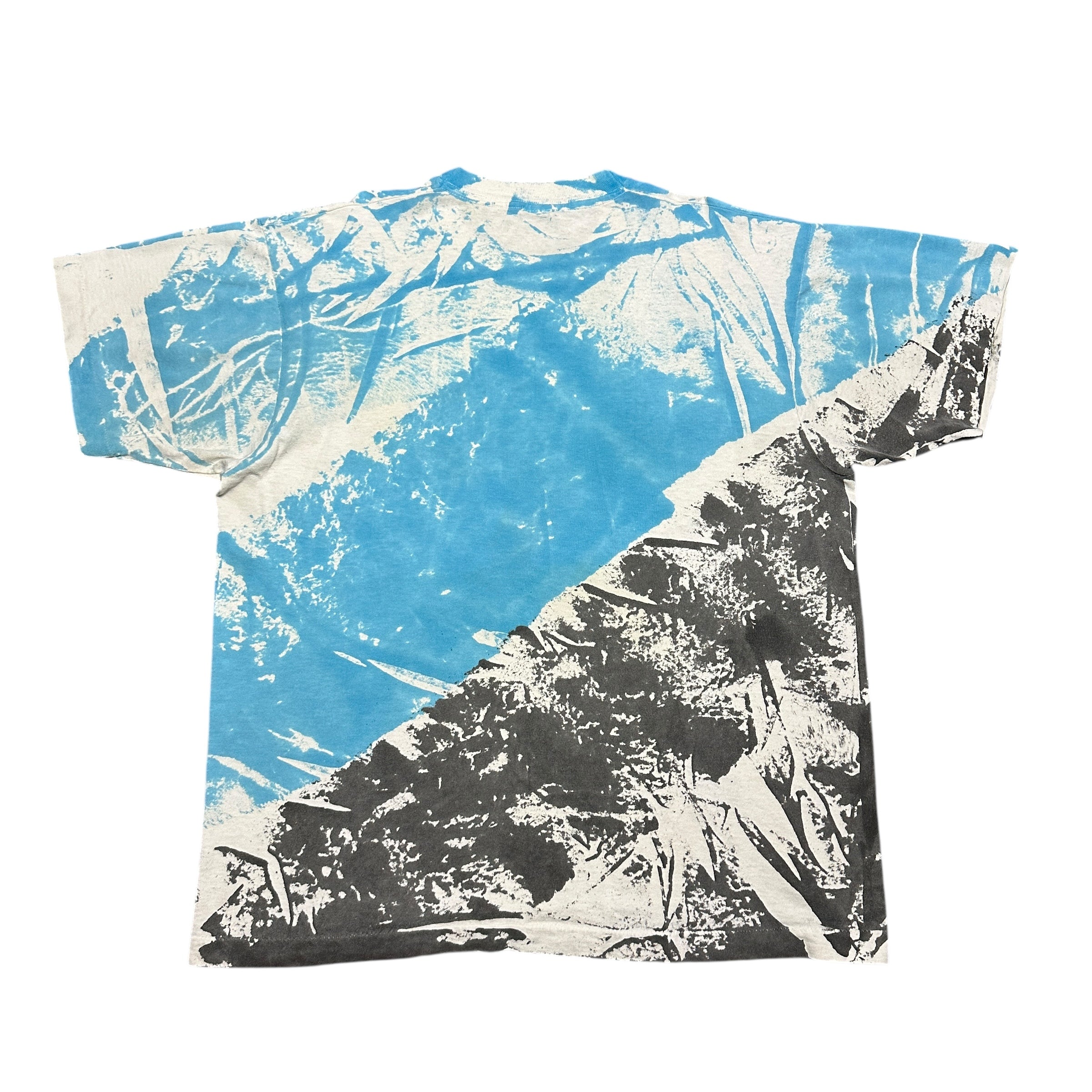 1990s Snowboard AOP