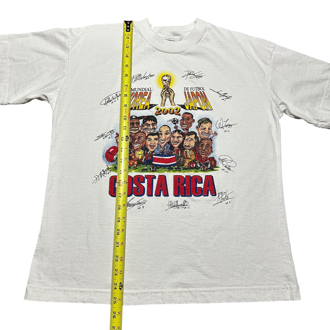 2002 World Cup Costa Rica Team