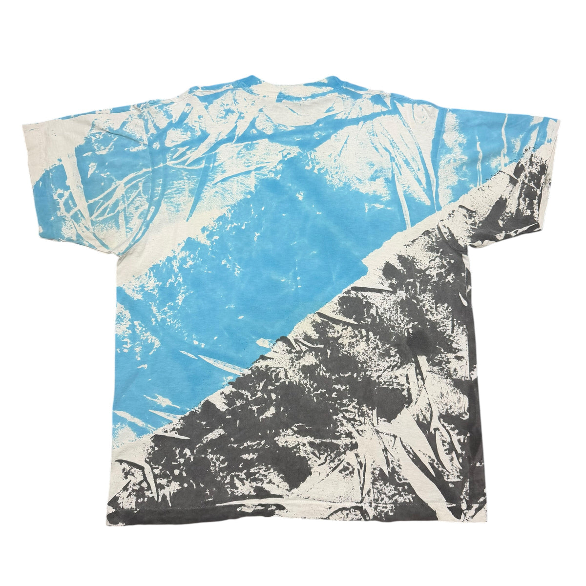 1990s Snowboarding Icy AOP