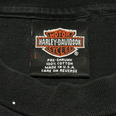 1990s Harley Davidson Galaxy Stars AOP