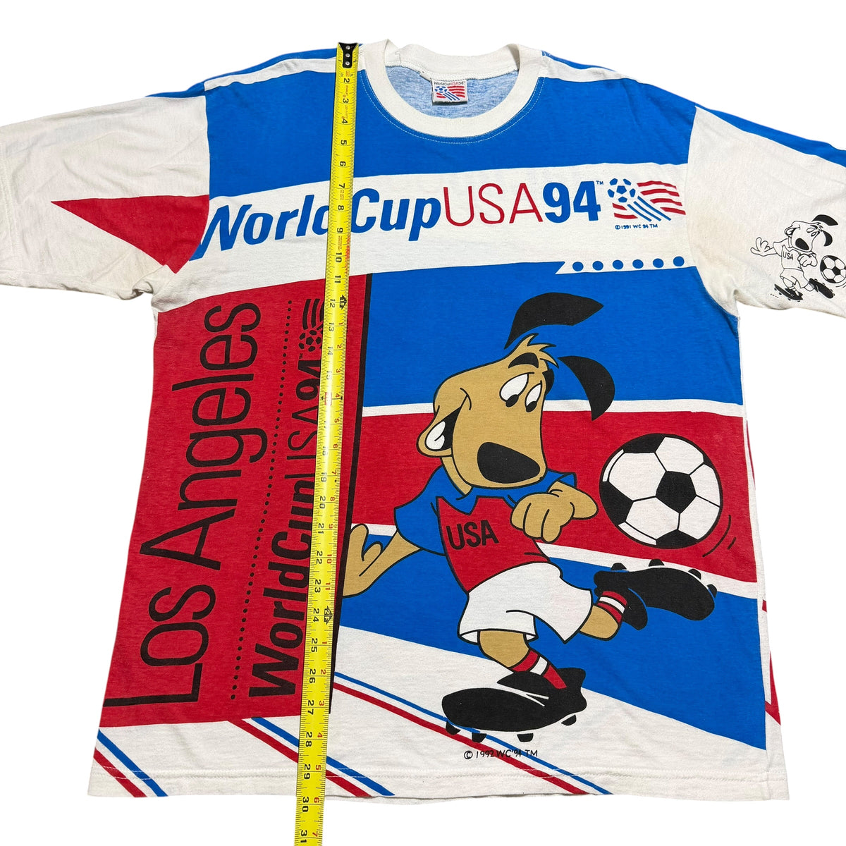 1994 World Cup Magic Johnson Striker Color Block USA AOP
